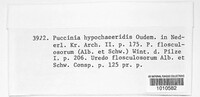 Puccinia hypochaeridis image